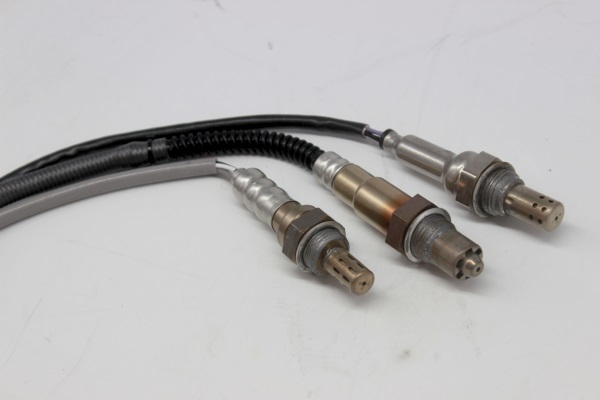 oxygen sensor manufacturer china (1)